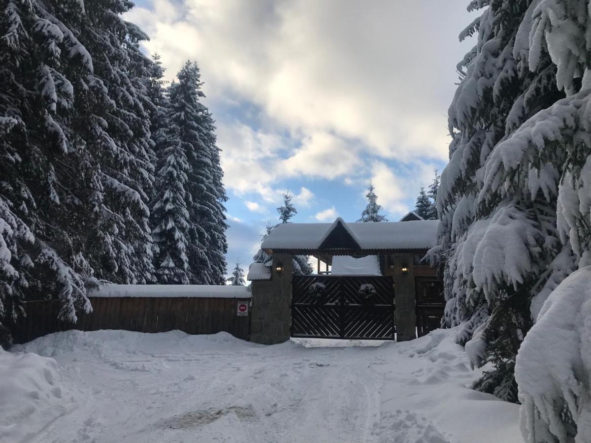 Cottage Karinka Bukovel Exterior photo